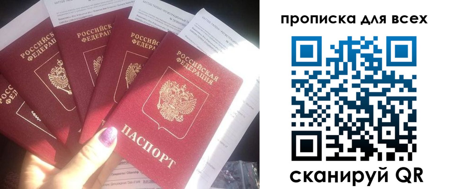 прописка поиск в Петропавловске-Камчатском
